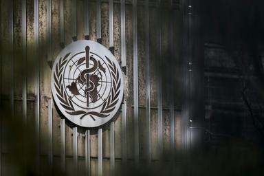 L'OMS ouvre son Assemblée annuelle sur fond d'hantavirus et d'Ebola