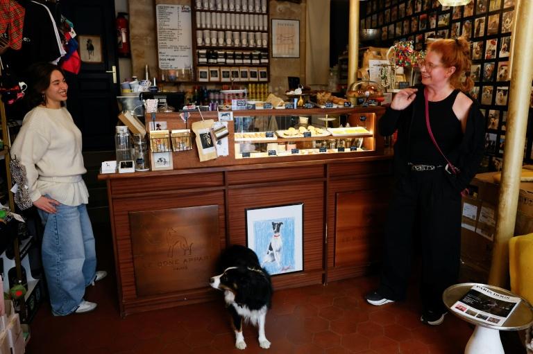 Toutouccino et macarons: le bar à chiens, nouvelle niche du chic parisien