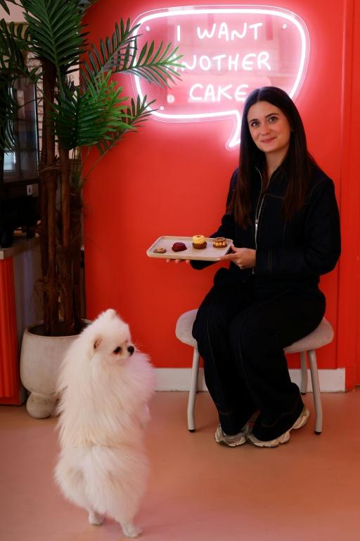 Toutouccino et macarons: le bar à chiens, nouvelle niche du chic parisien