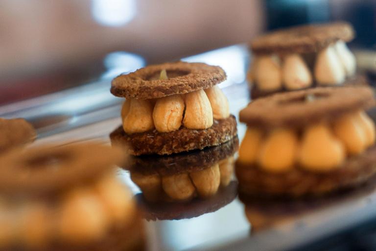 Toutouccino et macarons: le bar à chiens, nouvelle niche du chic parisien