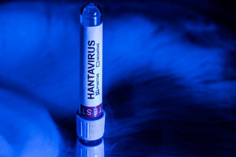 Hantavirus: les 22 Français cas contacts sont "actuellement hospitalisés"