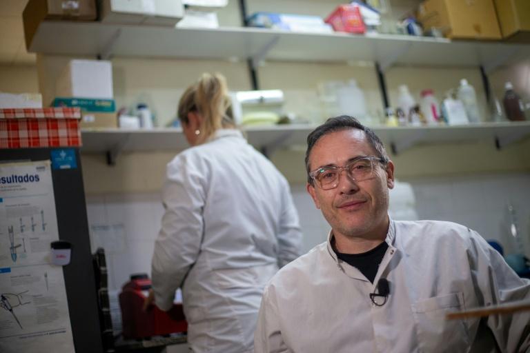 Hantavirus: ce que l'Argentine sait, et ne sait pas, de son expérience du virus
