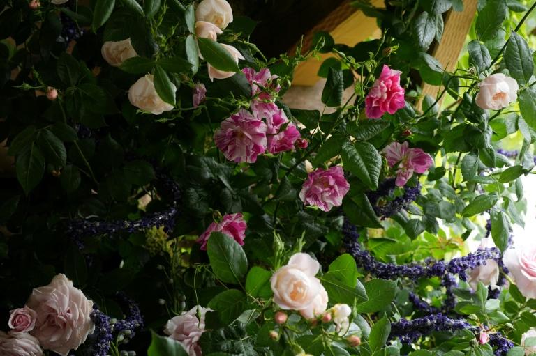 Plaisir, désir et nains de jardin au programme du célèbre Chelsea Flower Show de Londres