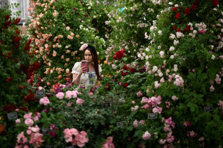 Plaisir, désir et nains de jardin au programme du célèbre Chelsea Flower Show de Londres