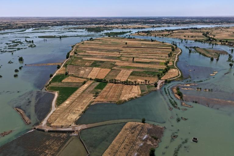 Dans l'est syrien, la crue de l'Euphrate emporte la récolte d'agriculteurs