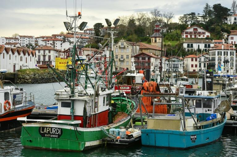 Protection des dauphins: nouvelle période sans pêche dans le golfe de Gascogne en 2027