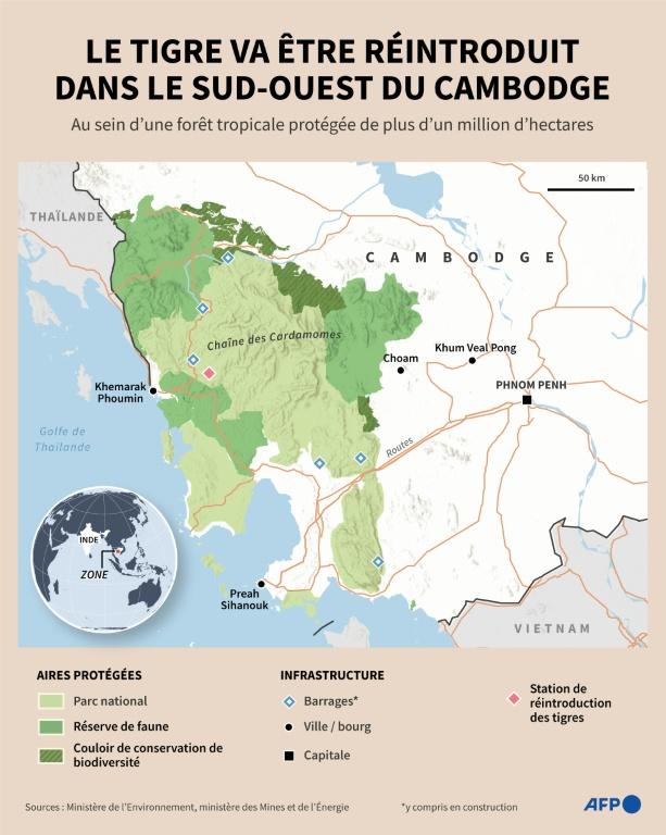Cambodge: le retour du tigre pas toujours vu d'un bon œil