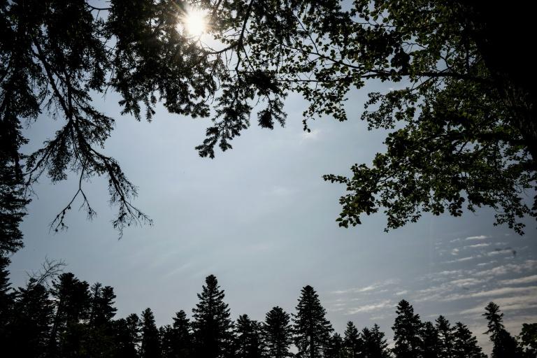 La canicule historique à peine terminée, le mercure s'envole à nouveau en France