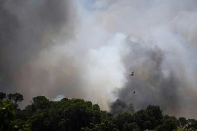 Un feu de forêt fait 12 morts près d'Almeria, dans le sud de l'Espagne