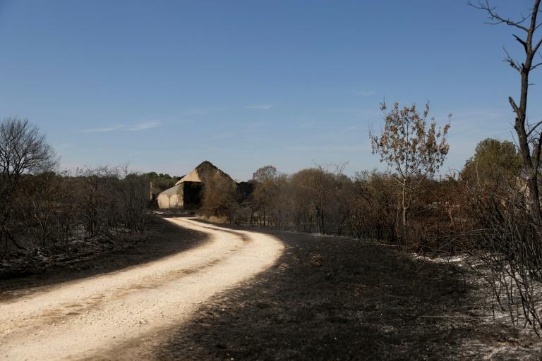 Canicule: la France suffoque, Paris et une vingtaine de départements voient rouge