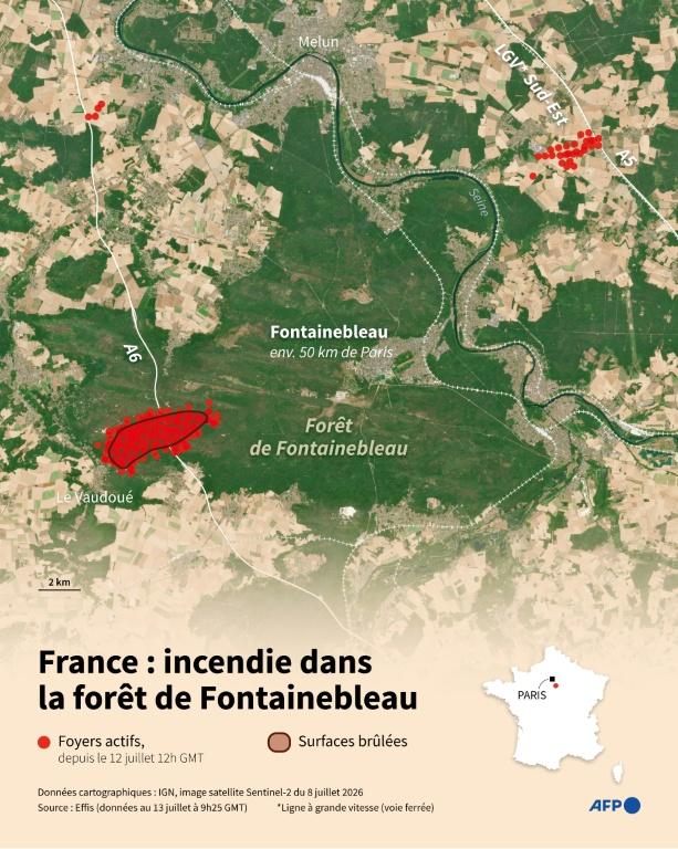 La forêt de Fontainebleau, poumon vert de Paris et joyau de biodiversité