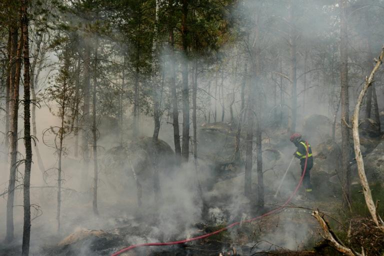 Dans la forêt de Fontainebleau, les pompiers luttent toujours pour arrêter la propagation des feux