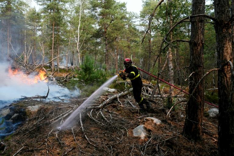 Un homme en garde à vue pour une tentative d'incendie mardi soir près de la forêt de Fontainebleau