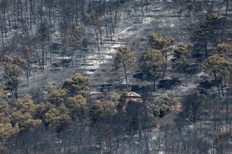 Incendies: "Un peu moins de 40.000 hectares" brûlés en France et 111 interpellations, annonce Nuñez