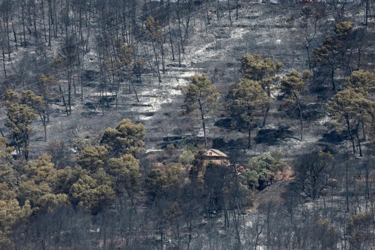 Incendies: "Un peu moins de 40.000 hectares" brûlés en France et 111 interpellations, annonce Nuñez