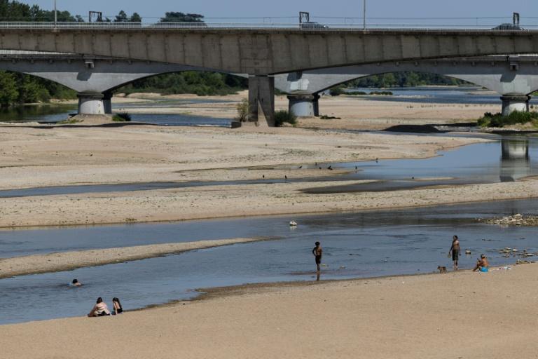 La Loire, en alerte, éprouvée par une sécheresse exceptionnelle