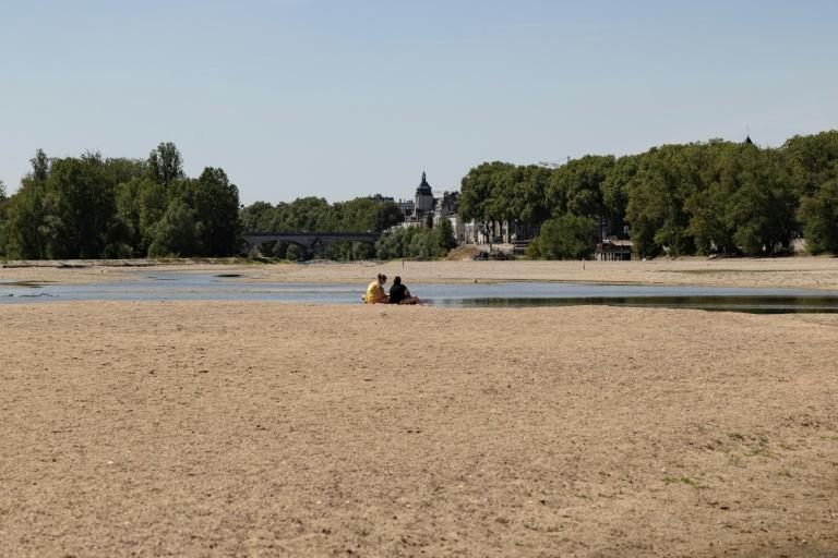 La Loire, en alerte, éprouvée par une sécheresse exceptionnelle