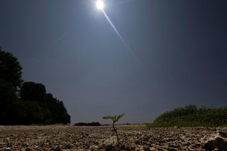 La Loire, en alerte, éprouvée par une sécheresse exceptionnelle