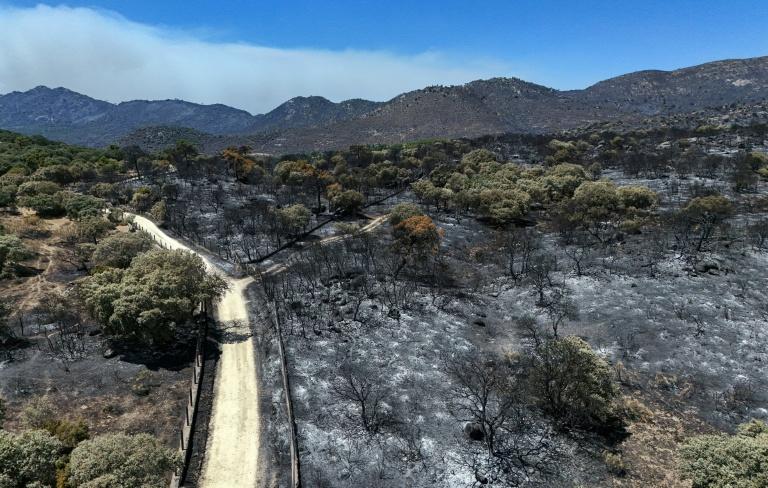 Incendies en Espagne: heures cruciales près de Madrid avant un changement de météo