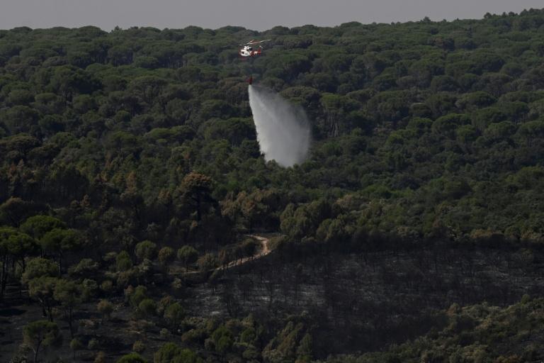 Incendies en Espagne: des milliers de personnes ont regagné leur domicile près de Madrid