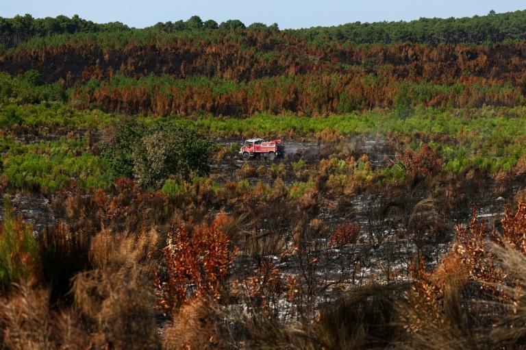 Incendies: situation stable dans le Var et en Gironde, les pompiers poursuivent leurs efforts