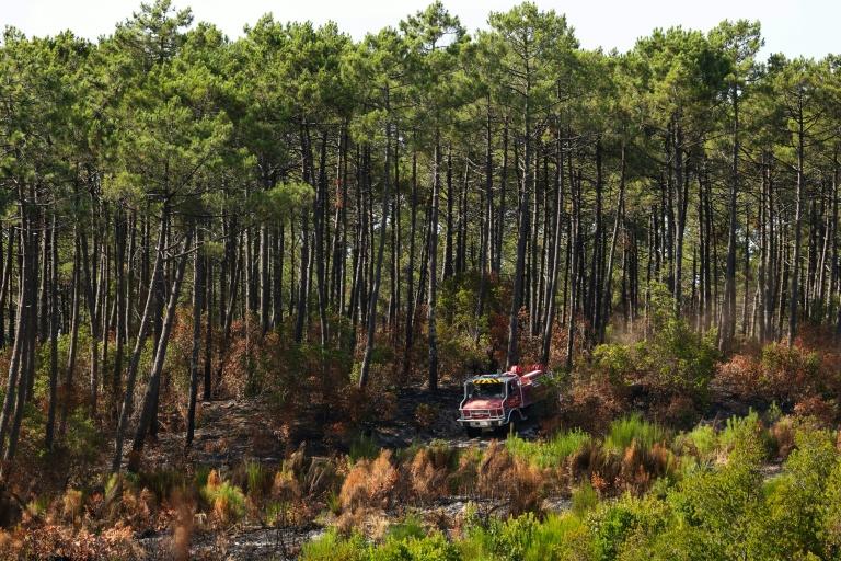 Incendies: situation stable dans le Var et en Gironde, les pompiers poursuivent leurs efforts