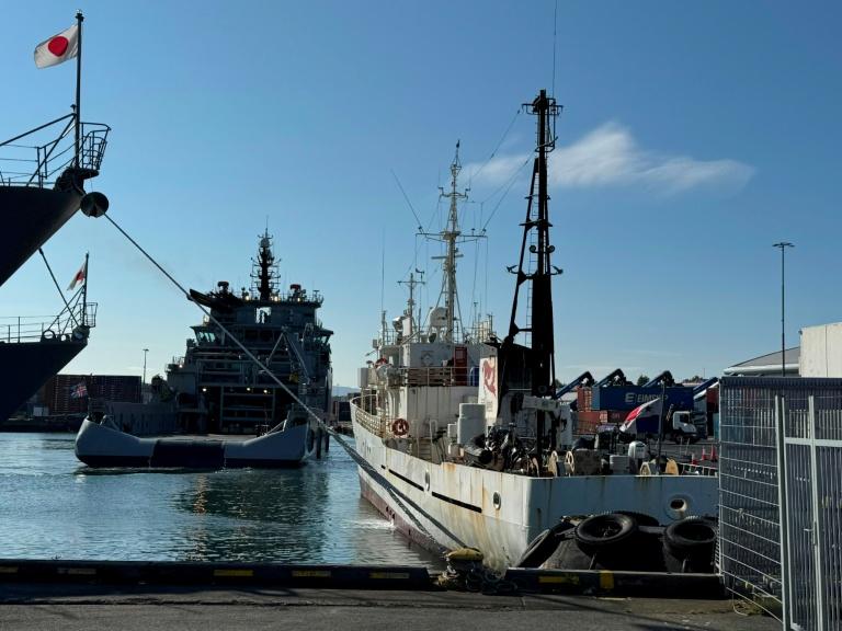 L'Islande ordonne l'expulsion de 21 militants anti-chasse à la baleine