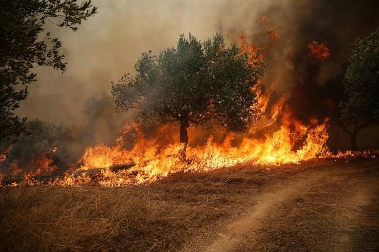 Grèce : trois personnes en détention provisoire après l'incendie à l'ouest d'Athènes