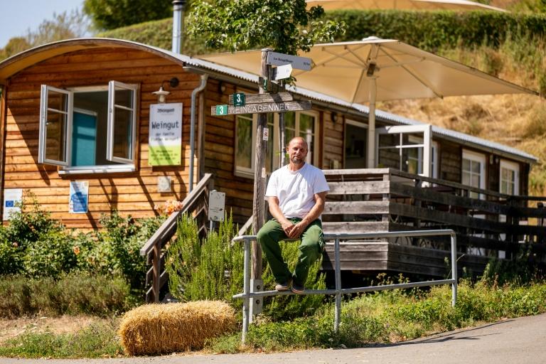 Dans la vallée du Rhin, le Riesling à l'épreuve du climat