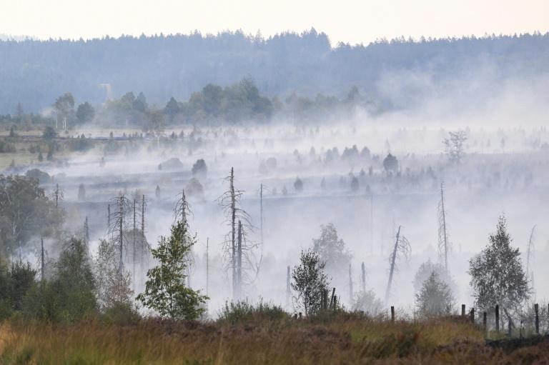 Journée décisive pour "encercler définitivement" et vaincre l'incendie en Belgique