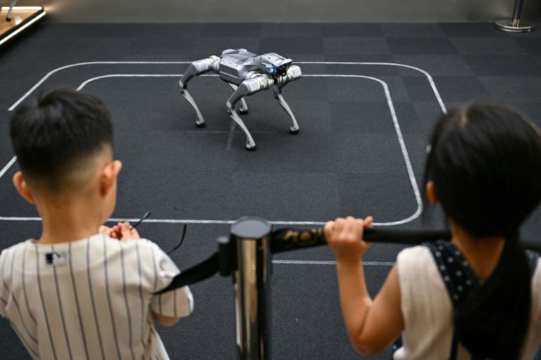 Le champion chinois de la robotique Unitree fait une entrée spectaculaire en Bourse
