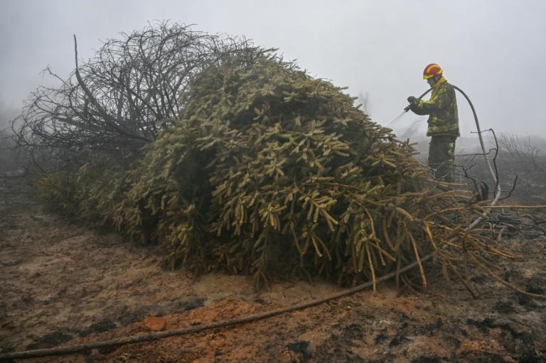 Belgique: l'incendie a pu être "encerclé" mais la situation "reste compliquée"