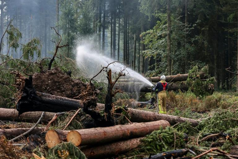 Belgique: l'incendie des Hautes Fagnes "désormais contrôlé"