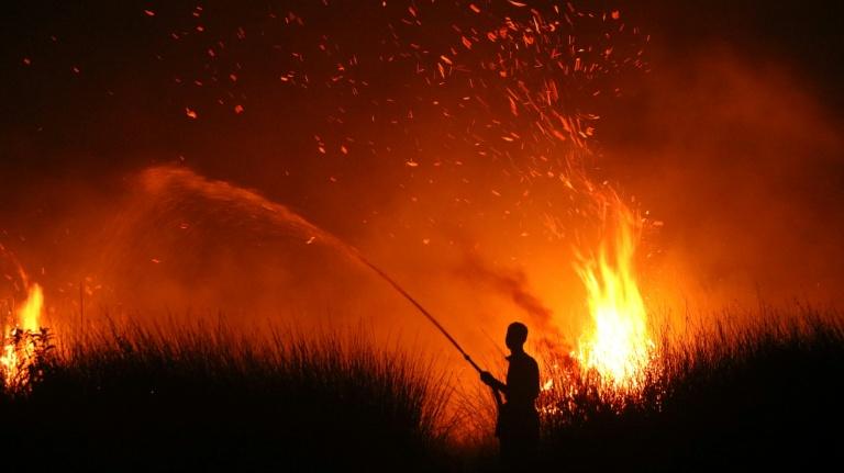 Les conséquences d'un phénomène El Niño record pour le monde