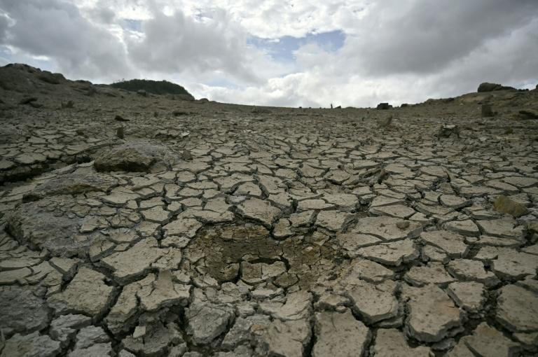El Niño: le canal de Panama réduit son trafic face à la baisse des précipitations