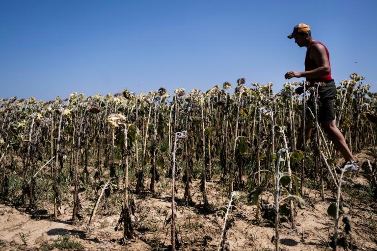 L'ONU appelle le monde à faire face à la "réalité" d'un dépassement du réchauffement au-delà de 1,5°C