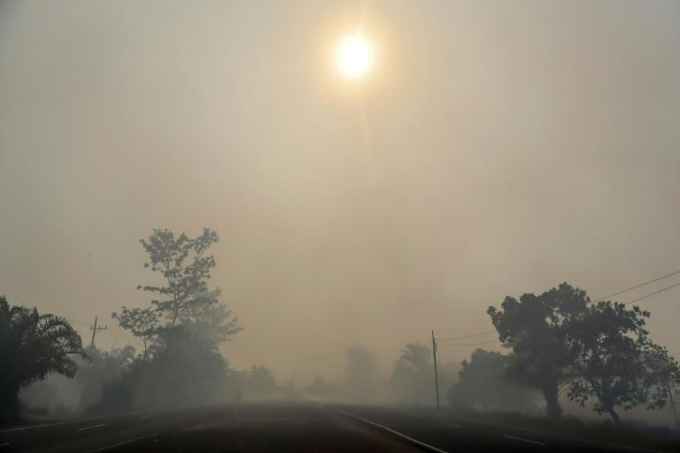 Incendies et canicules menacent la qualité de l'air et la santé, selon l'ONU