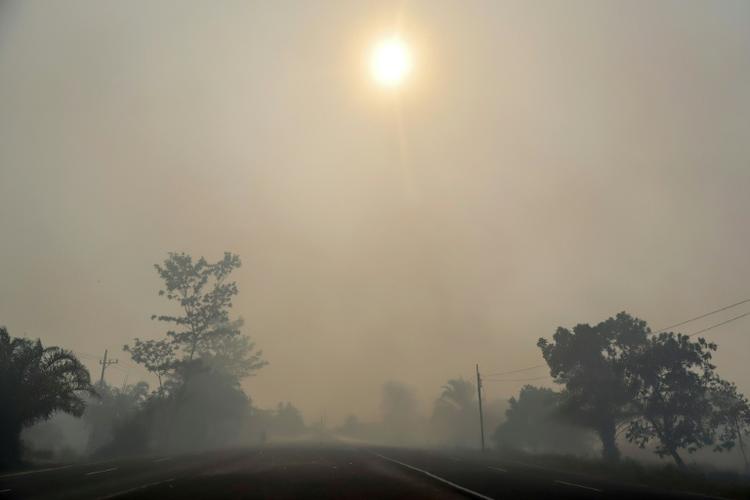 Incendies et canicules menacent la qualité de l'air et la santé, selon l'ONU