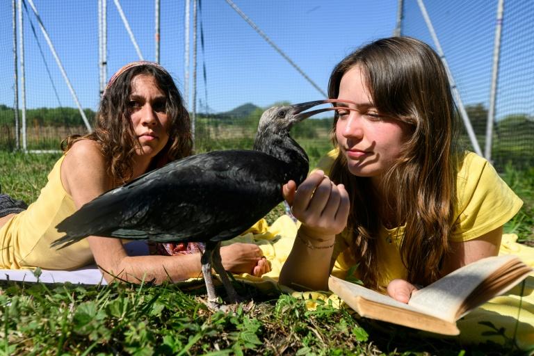 Quand des humains guident des oiseaux dans les airs pour leur apprendre la migration