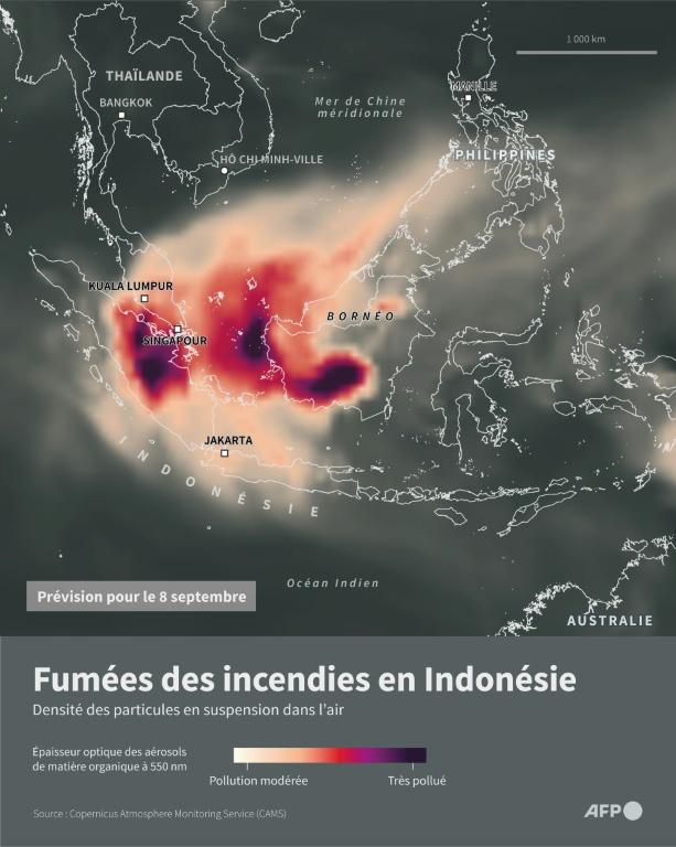 Incendies en Indonésie: la Malaisie envoie des pompiers et des moyens aériens