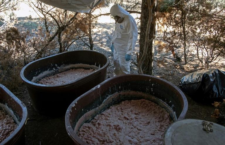 D'Afrique australe à l'Australie, la nouvelle route de la meth du cartel de Sinaloa