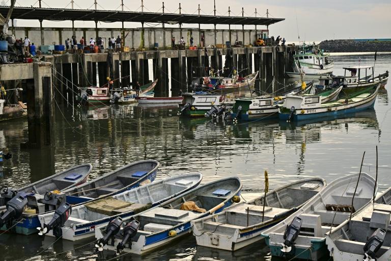En Amérique latine, les pêcheurs artisanaux à l'épreuve d'El Niño