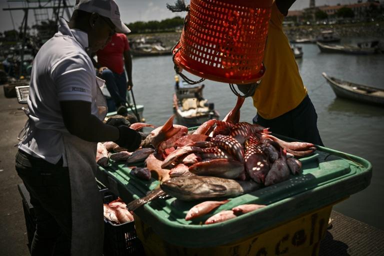 En Amérique latine, les pêcheurs artisanaux à l'épreuve d'El Niño