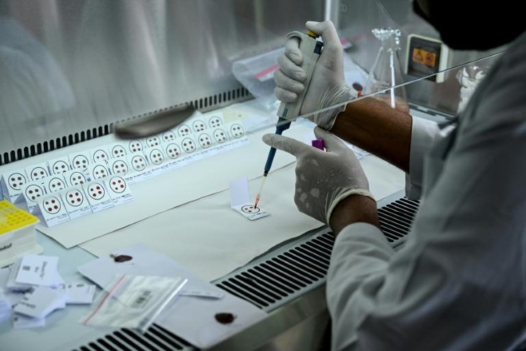Le Népal face au casse-tête de l'identification par ADN des victimes de la crue
