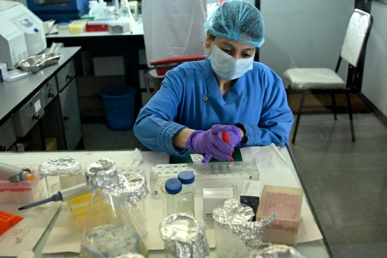 Le Népal face au casse-tête de l'identification par ADN des victimes de la crue
