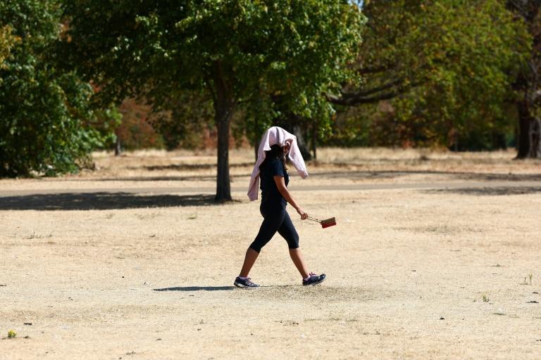 Europe : un stress thermique record lors de l'été le plus chaud jamais enregistré