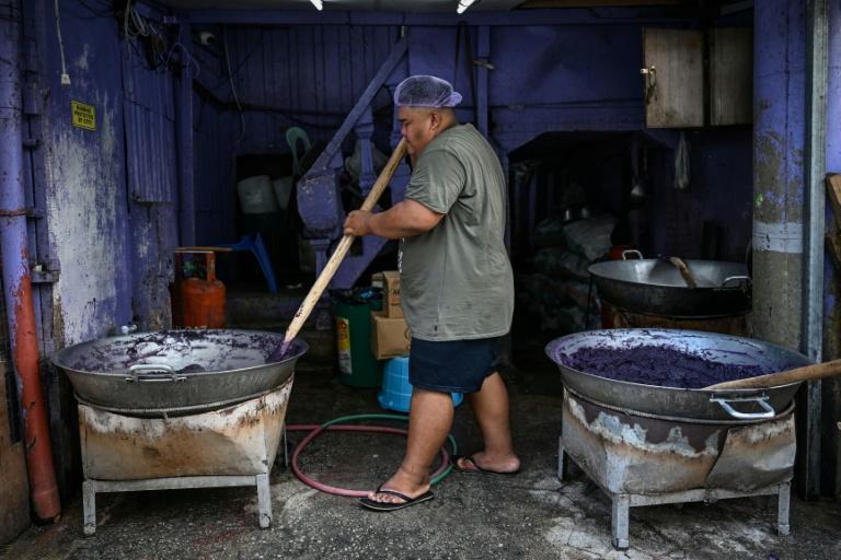 La mode de l'ube, un défi pour les agriculteurs philippins