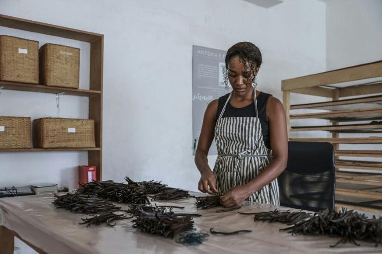 Sao Tomé: l'île chocolat développe sa culture de vanille