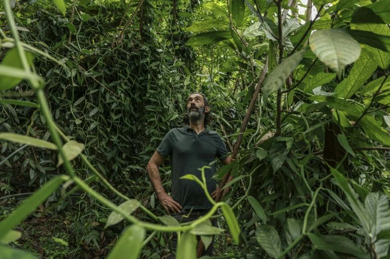 Sao Tomé: l'île chocolat développe sa culture de vanille