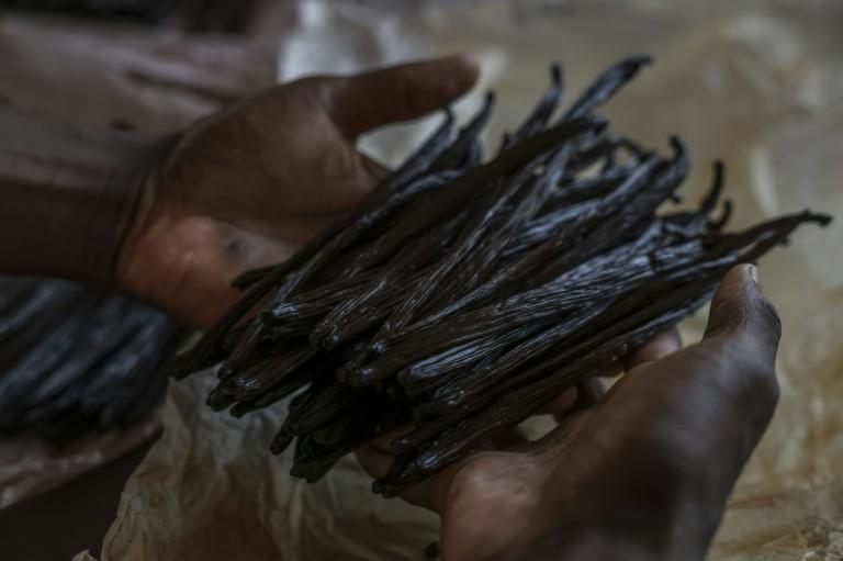 Sao Tomé: l'île chocolat développe sa culture de vanille